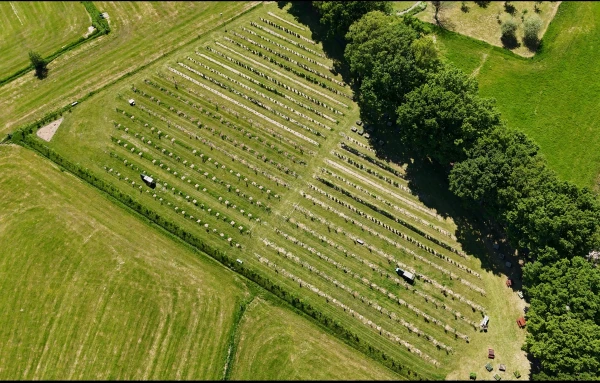 Afbeelding Boerderij de Oude Ruif
