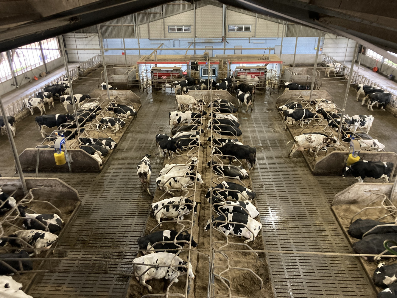 Hoofdafbeelding van Boerderij Tober