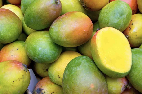 Productfoto Mango