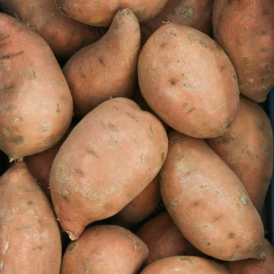 Productfoto Zoete aardappel 1kg