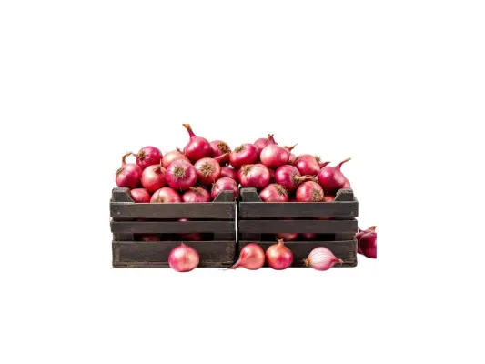Productfoto Rode uien