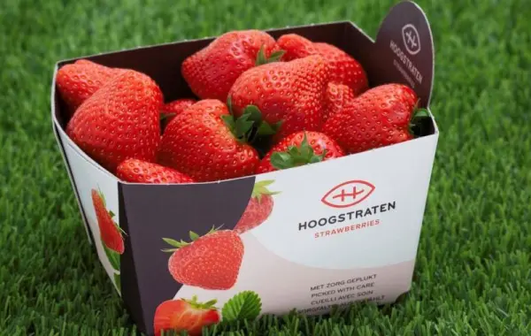 Productfoto Verse aardbeien