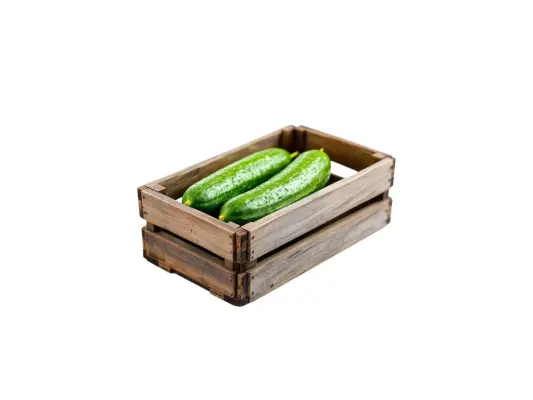 Productfoto Komkommer