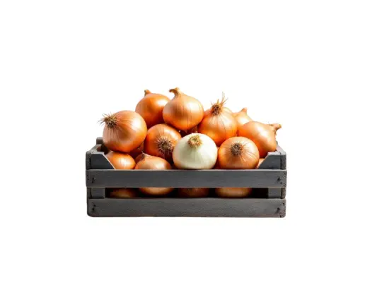 Productfoto Witte uien
