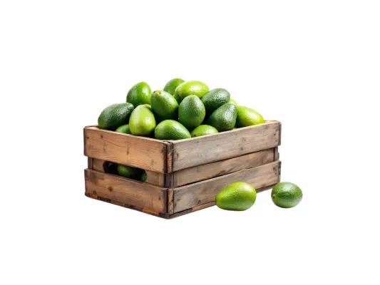 Productfoto Avocado