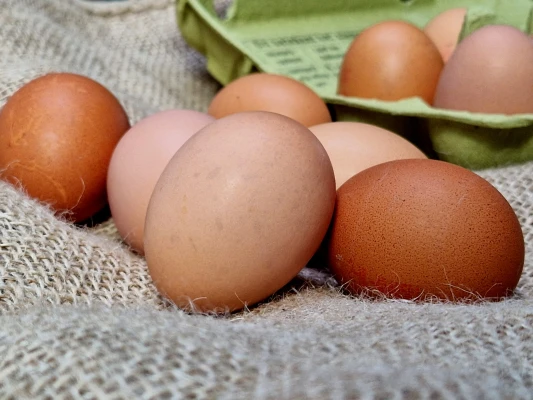 Productfoto Vrije uitloop eieren