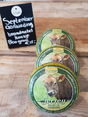 Productfoto Brandnetel kaasje