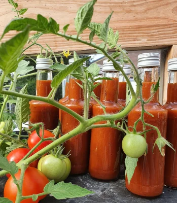 Productfoto Tomaten ketchup