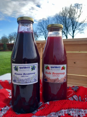 Productfoto Pure fruitsappen groot