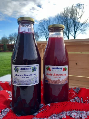 Productfoto Blauwe Bessen Sap Groot