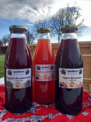 Productfoto Fruitsappen groot gemengd