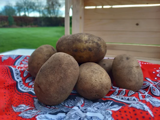 Productfoto Vitabella