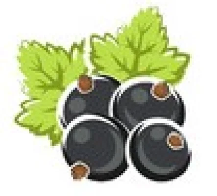 Productfoto Verschillende producten