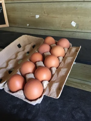 Productfoto 10 stuks