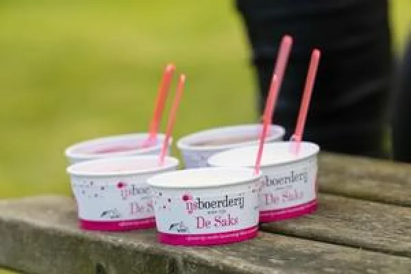 Productfoto Boerderij schepijs