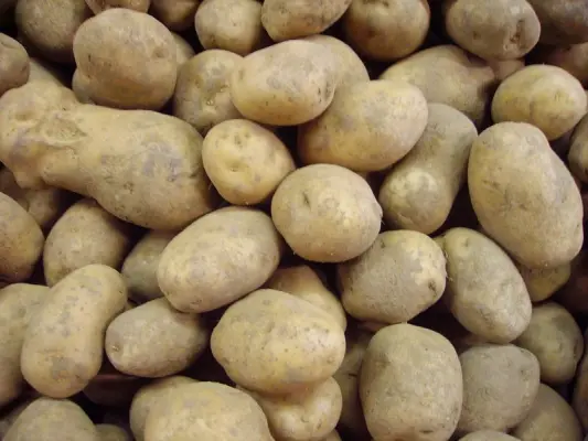 Productfoto Bintje aardappelen