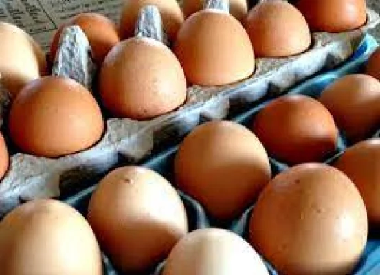 Productfoto Scharreleieren 24 stuks