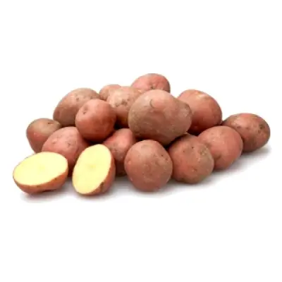 Productfoto Bildtstar aardappelen