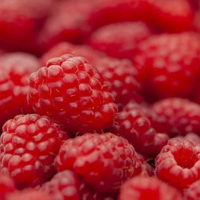 Productfoto Zachtfruit Frambozen 125 gram per bakje