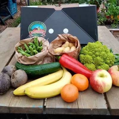 Productfoto Groente&Fruit Buurtbox (1-2 pers.)