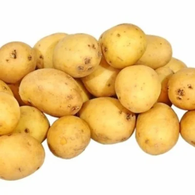 Productfoto Aardappelen Krieltjes 500 gram