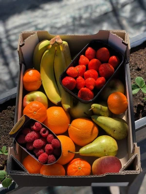 Productfoto Fruit Vitaliteitbox