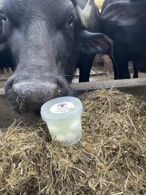 Productfoto Bolletjes mozzarella