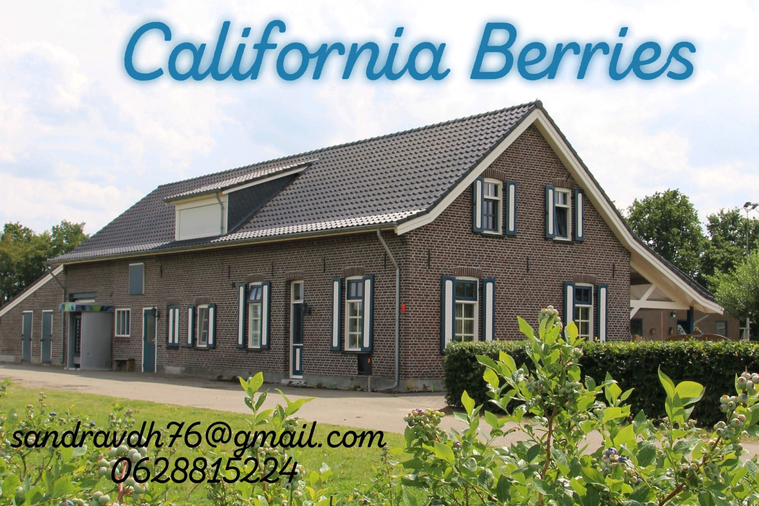 Afbeelding voor California Berries