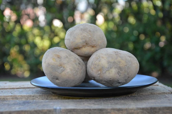 Productfoto Frieslander aardappel 1 kilogram
