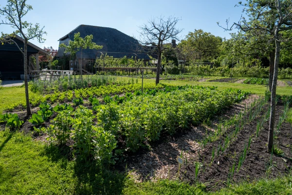Afbeelding De Fruitboomgaard