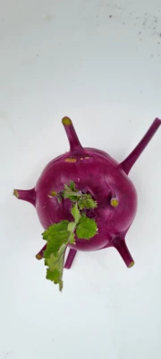Productfoto Koolrabi
