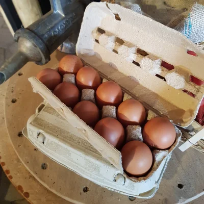 Productfoto Verse eieren van de Groenerie