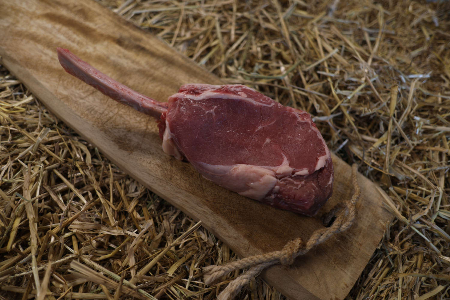Hoofdafbeelding van De Morshoeve 