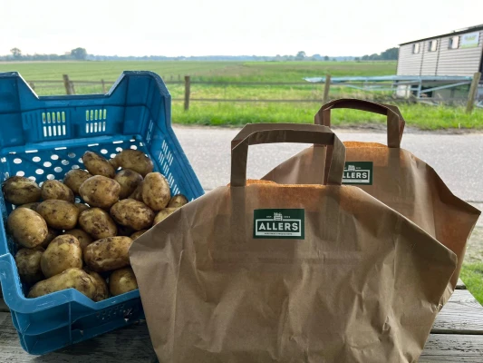 Productfoto Nieuwe aardappel  'Frieslander"