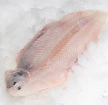 Productfoto Sliptong