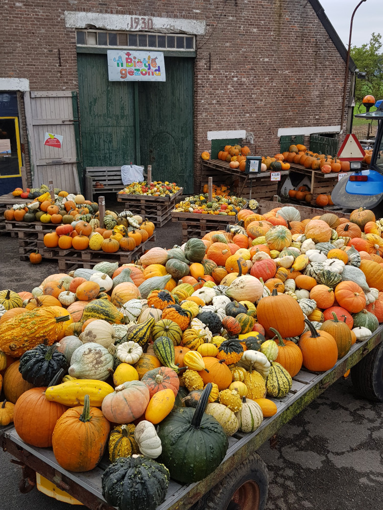 Hoofdafbeelding van Den Reijer Agro