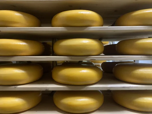 Productfoto Komijnekaas