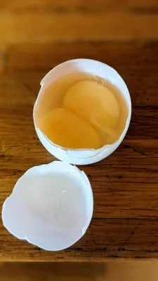 Productfoto Dubbeldooiers. Extra grote eieren waarin twee dooiers zitten.  Kakelverse eieren direct van Barneveldse boerderij