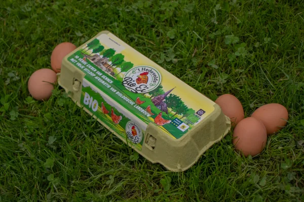 Productfoto Biologische eieren