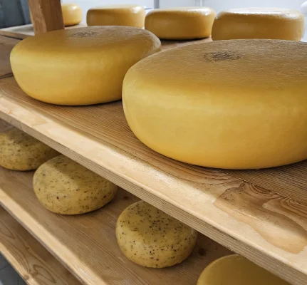 Productfoto Jong belegen boerenkaas