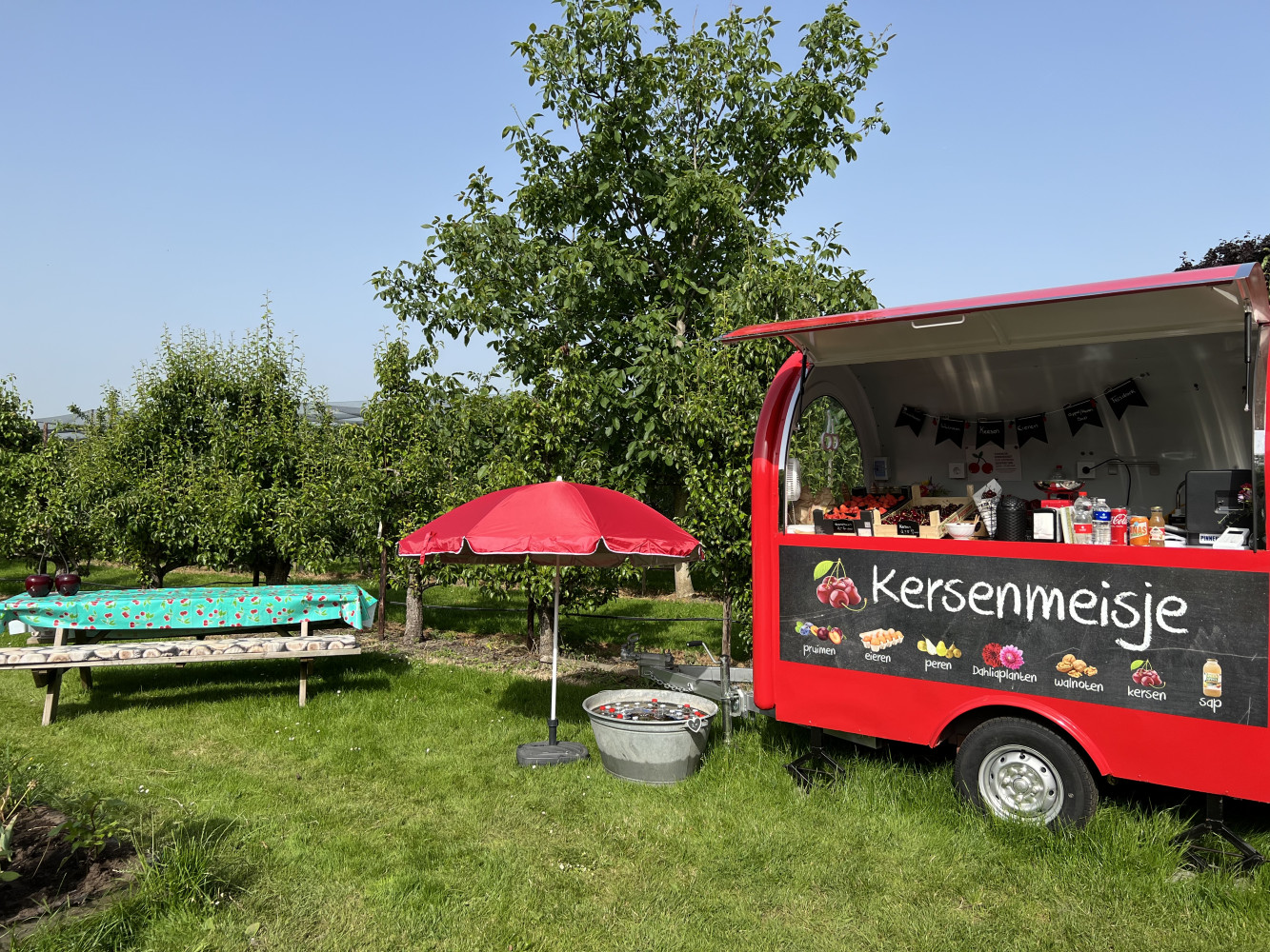 Hoofdafbeelding van Kersenmeisje