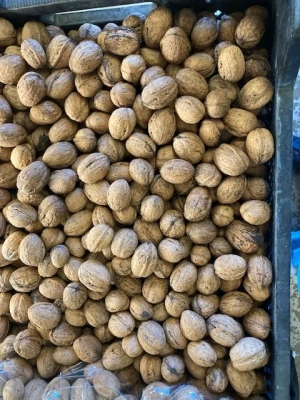 Productfoto Walnoten