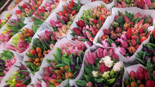 Afbeelding Flowers by Maaike
