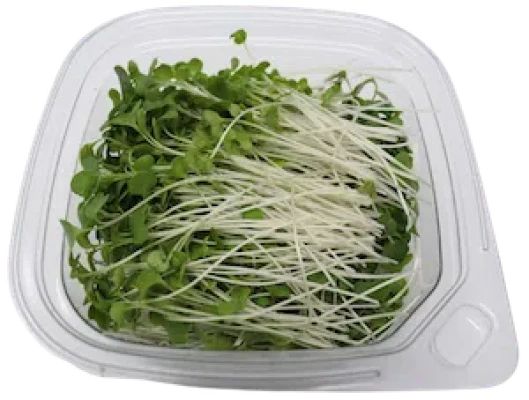 Productfoto Microgroenten Broccoli