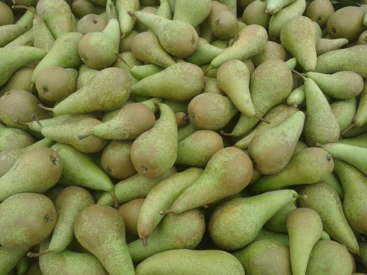 Productfoto Conference