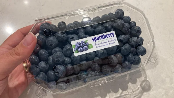 Productfoto Blauwe bessen