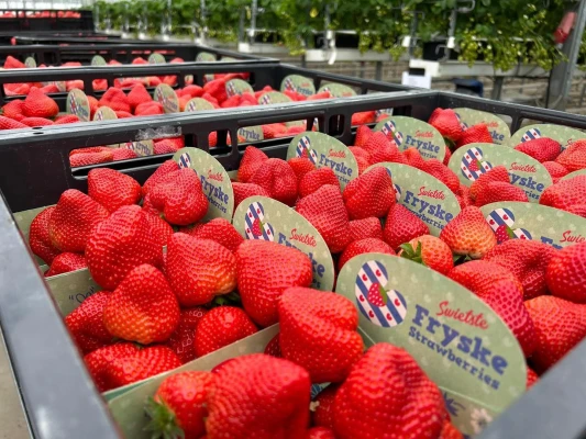 Productfoto Aardbeien