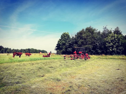 Productfoto Gehaktballen