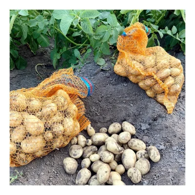 Productfoto Aardappel