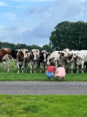 Afbeelding Het Buurtkupertje